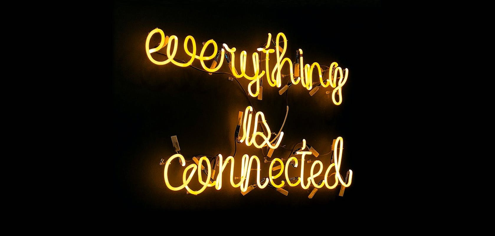 everything is connected