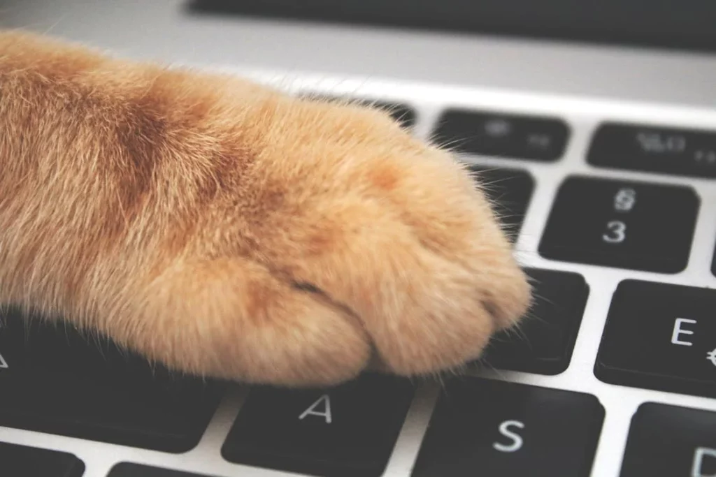 Don’t start your digital transformation project from technology